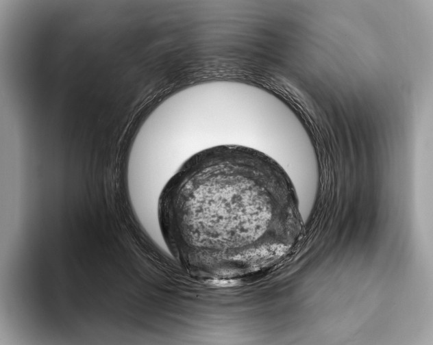 X0000093170552200710171230