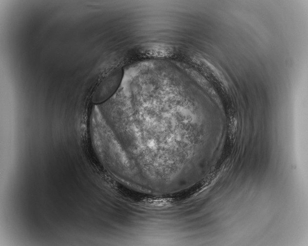 X0000093170553200710171230