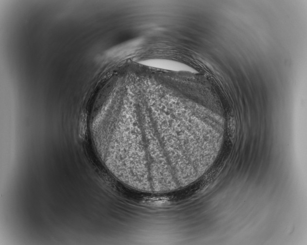 X0000093170554200710171230