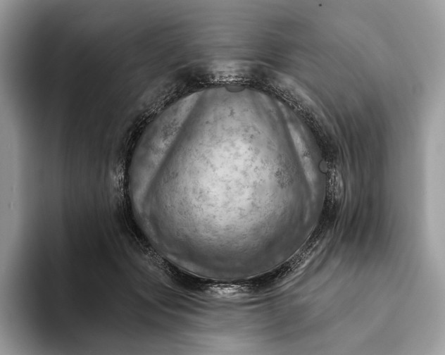 X0000093170557200710171230