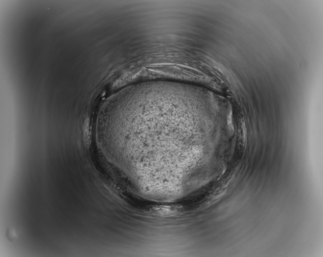 X0000093170558200710171230