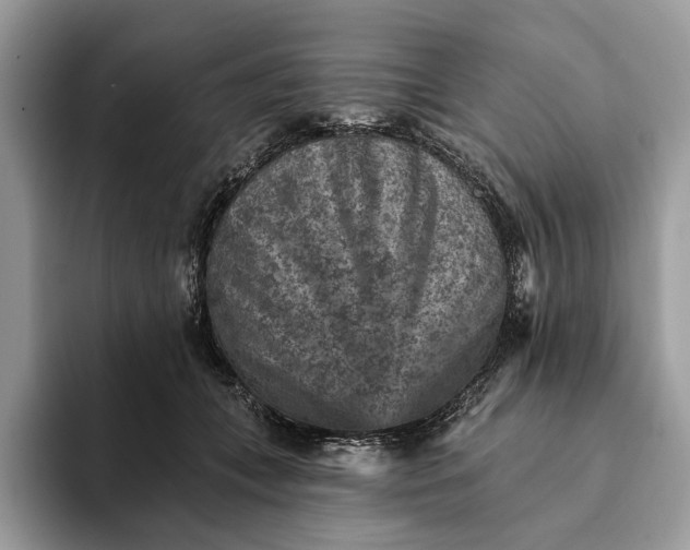 X0000093170559200710171230