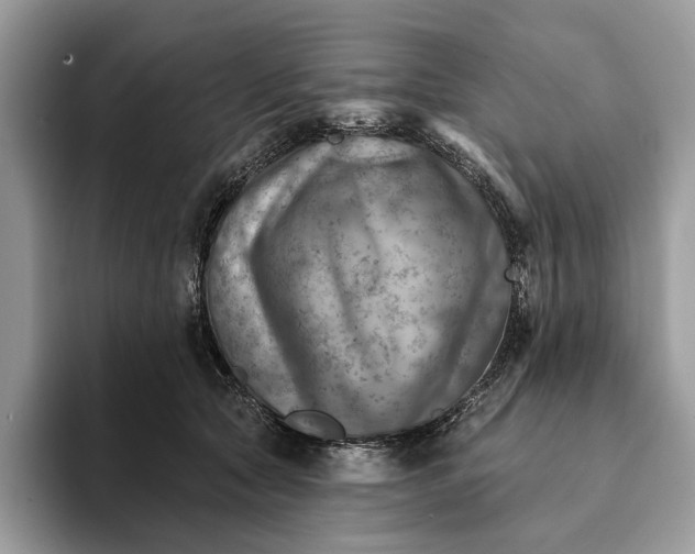 X0000093170561200710171230