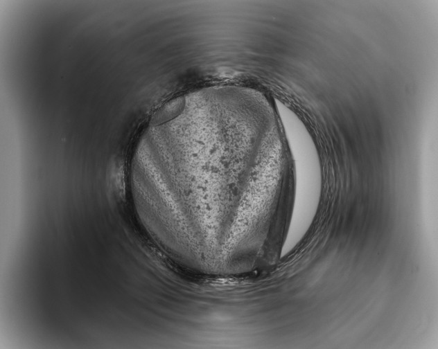 X0000093170562200710171230