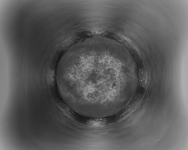 X0000093170563200710171230