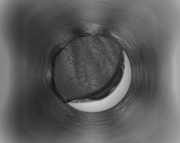 X0000093170566200710171230