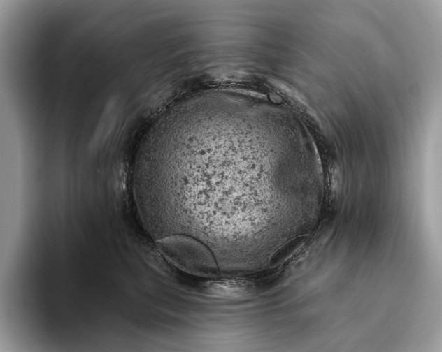 X0000093170567200710171230