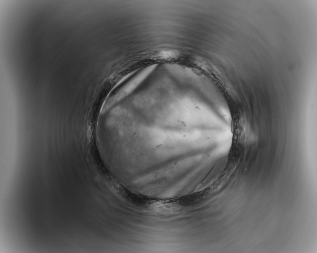 X0000093170568200710171230