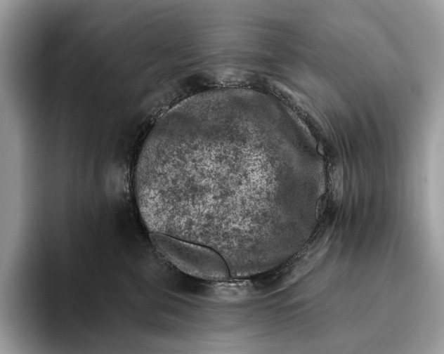 X0000093170571200710171230