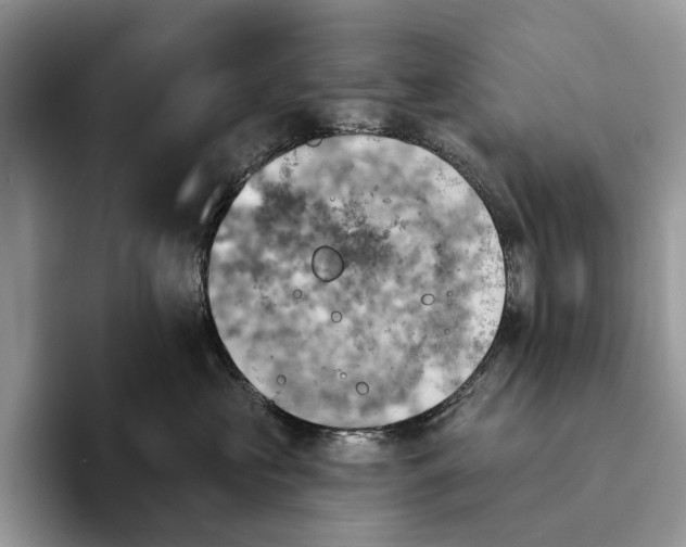 X0000093170573200710171230