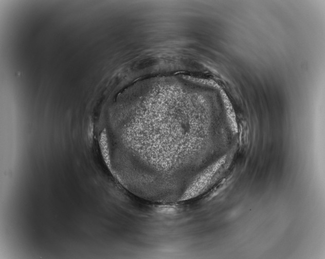 X0000093170574200710171230