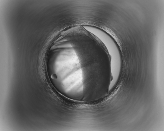 X0000093170577200710171229