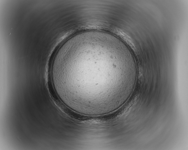 X0000093170578200710171229