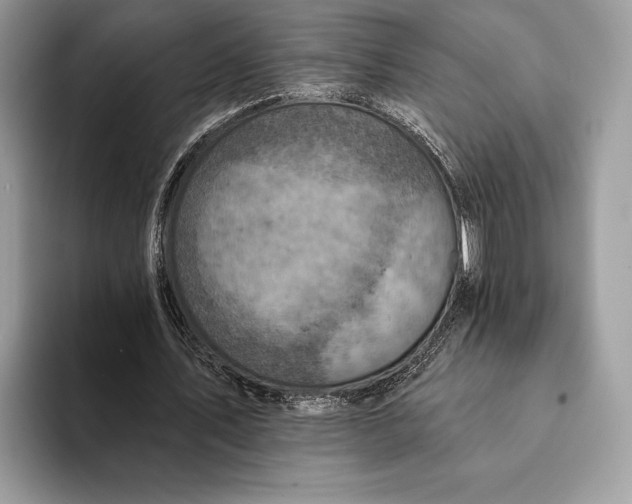 X0000093170579200710171229