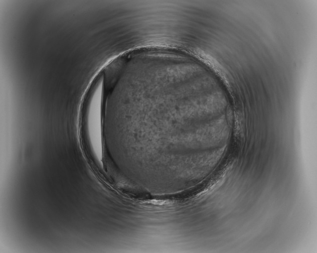 X0000093170580200710171229