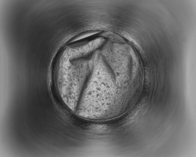 X0000093170582200710171229