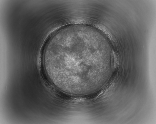 X0000093170583200710171229