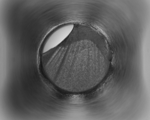 X0000093170584200710171229