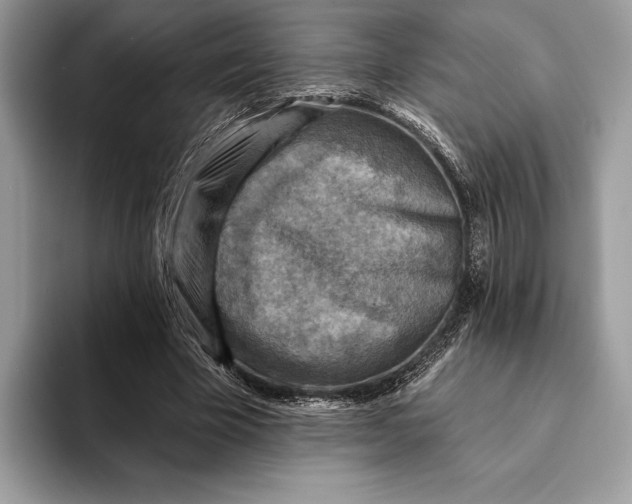 X0000093170585200710171229