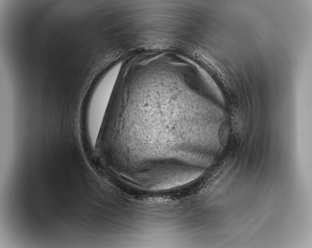 X0000093170586200710171229