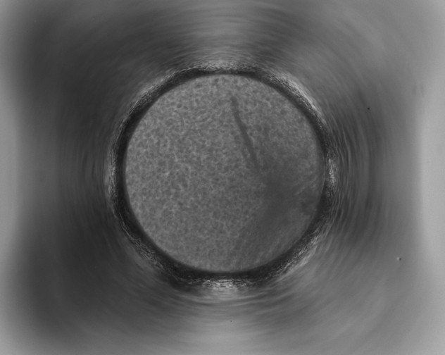 X0000093170588200710171229