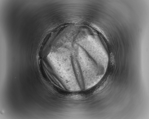 X0000093170589200710171229