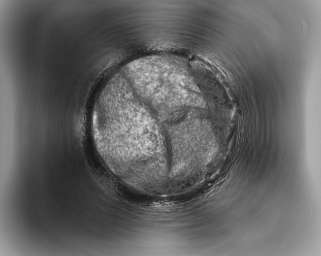 X0000093170591200710171229