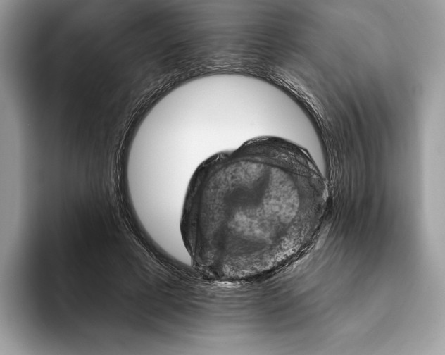 X0000093170593200710171229