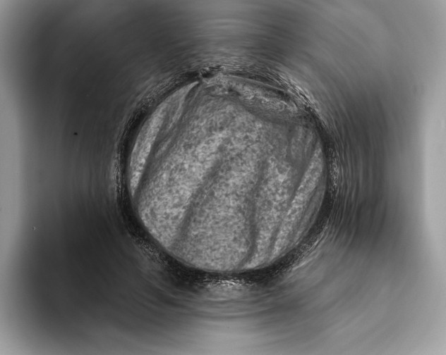 X0000093170594200710171229