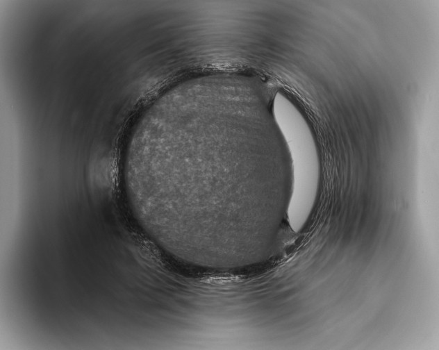 X0000093170595200710171229