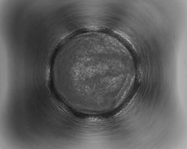 X0000093170596200710171229