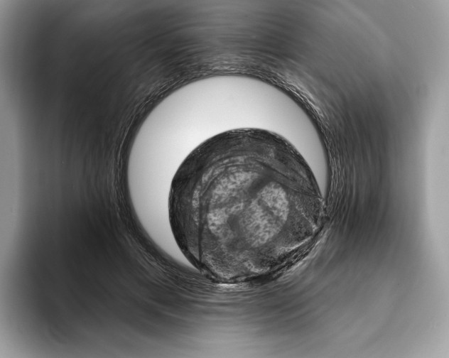 X0000093170597200710171229