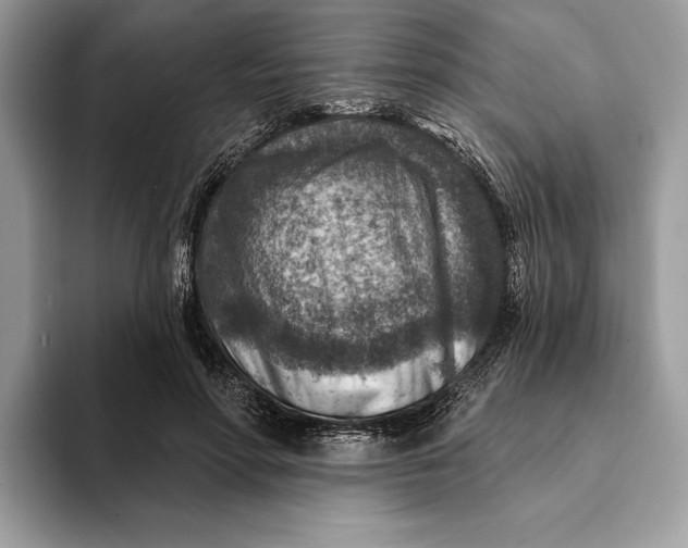 X0000093170598200710171229