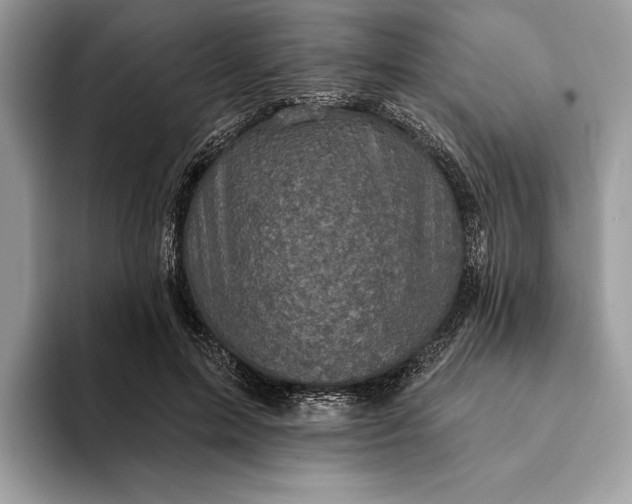 X0000093170599200710171229