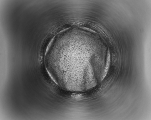 X0000093170602200710171229