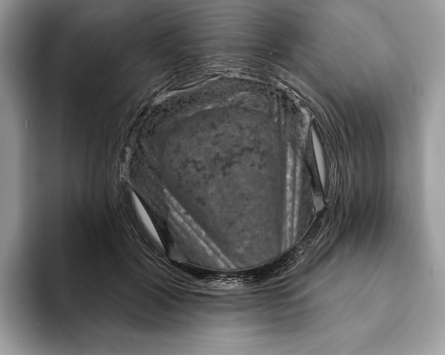 X0000093170604200710171229