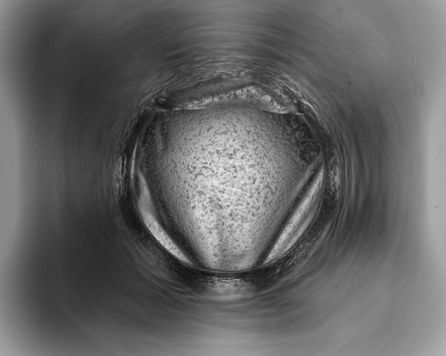 X0000093170605200710171229