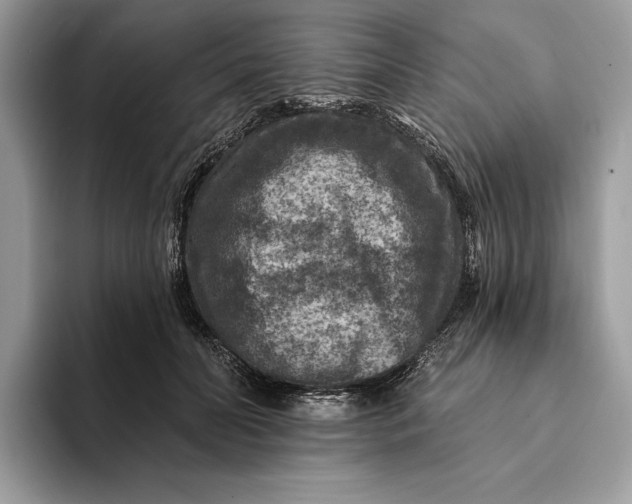 X0000093170606200710171229