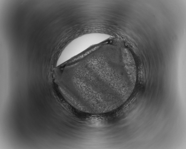 X0000093170608200710171229