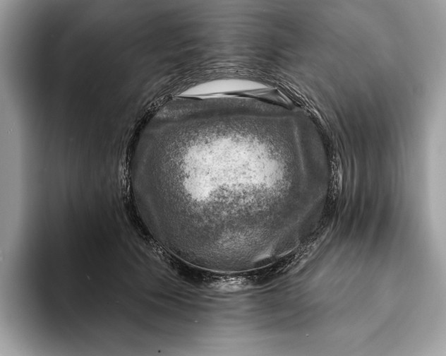 X0000093170609200710171229