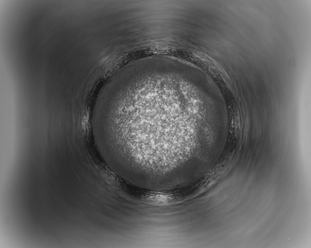 X0000093170610200710171229