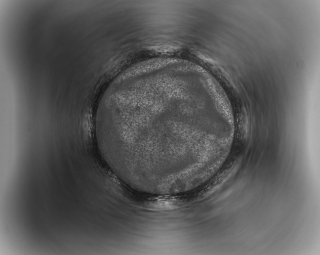 X0000093170612200710171229