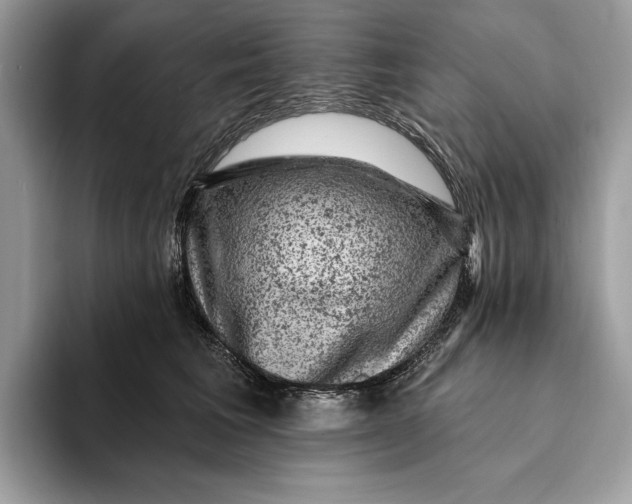 X0000093170613200710171229