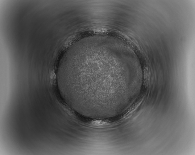 X0000093170614200710171229