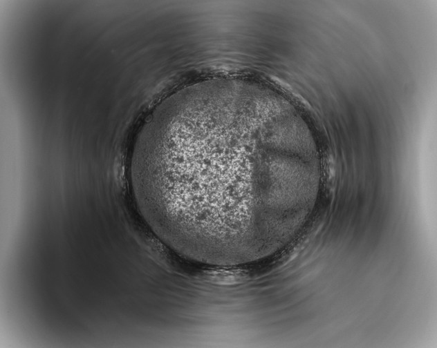 X0000093170615200710171229