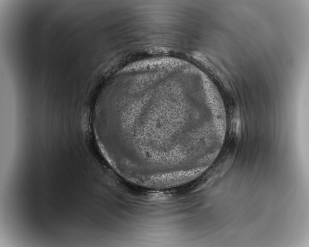 X0000093170616200710171229