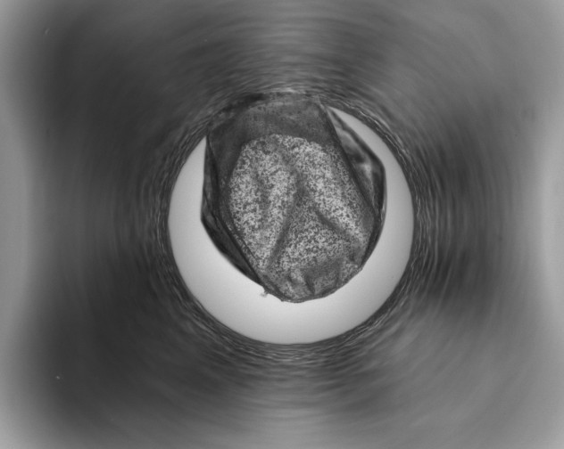 X0000093170617200710171229