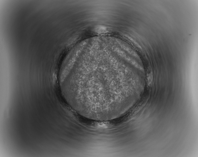 X0000093170618200710171229