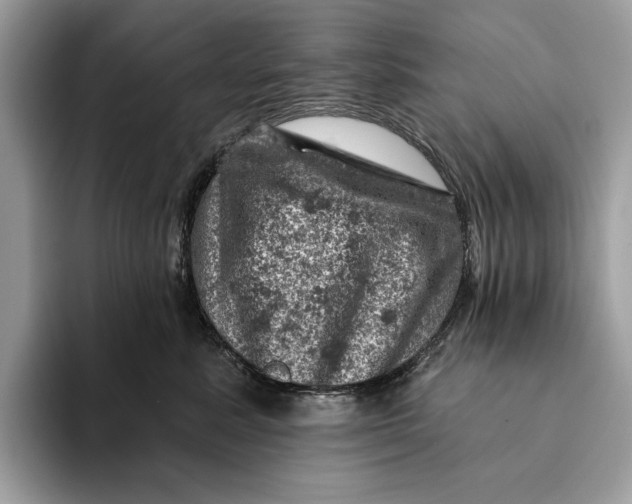 X0000093170619200710171229