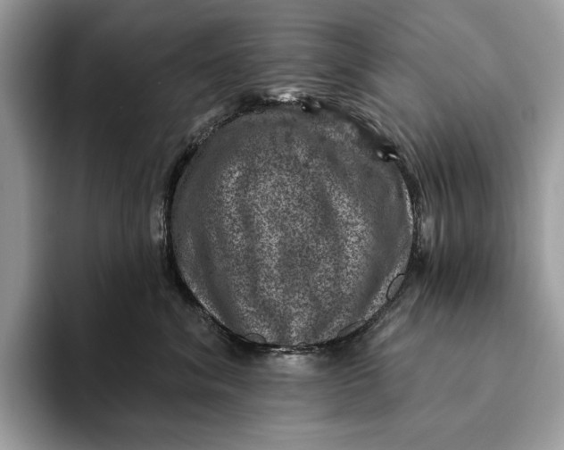 X0000093170620200710171229